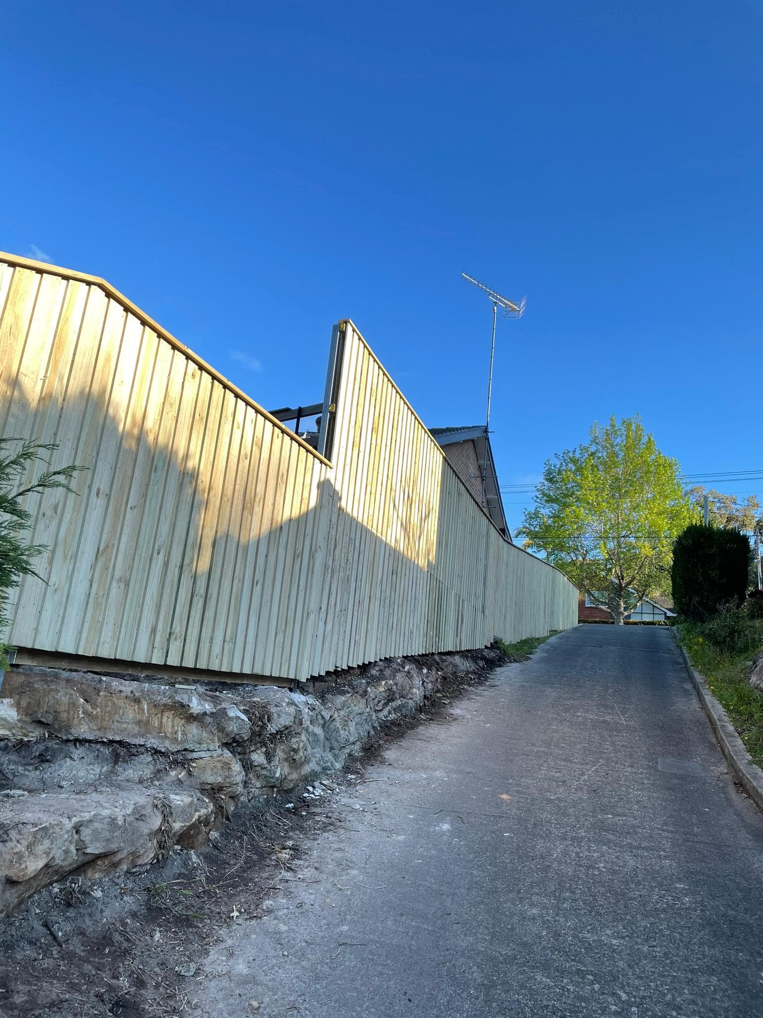 Timber fence